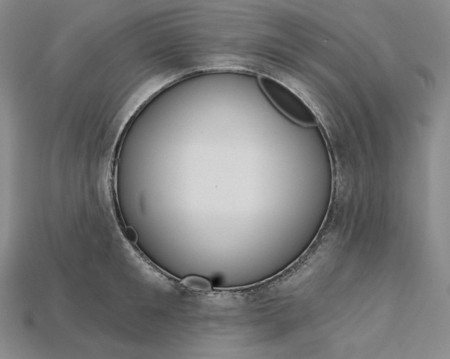 X0000115170901200911121737