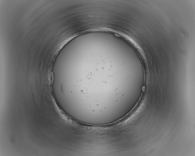 X0000115170905200911121737
