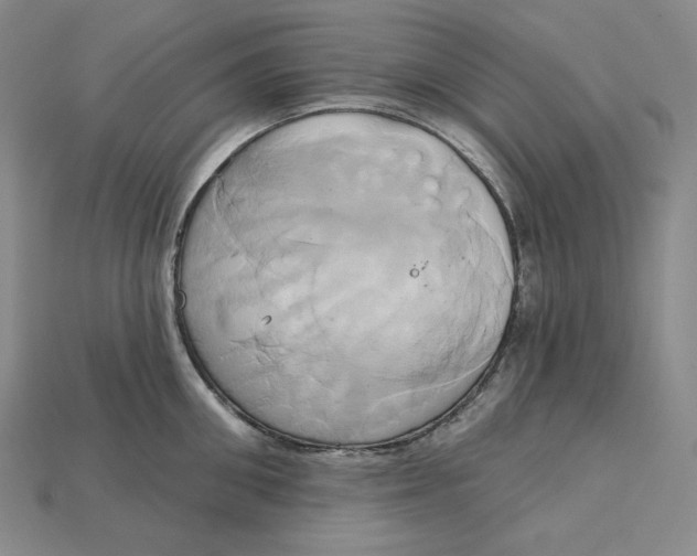 X0000115170906200911121737