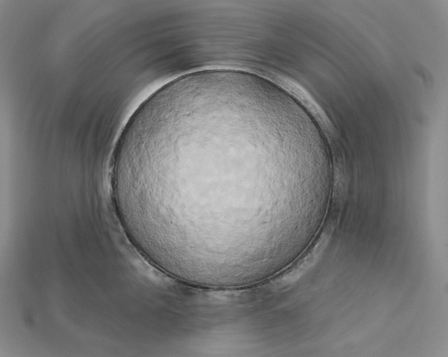 X0000115170908200911121737