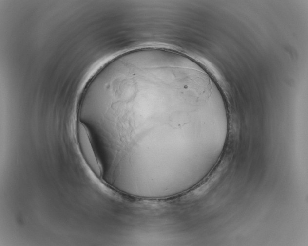 X0000115170910200911121737
