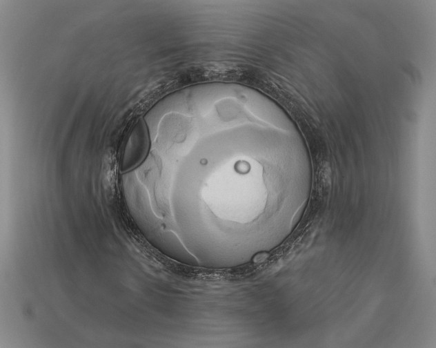 X0000115170914200911121736