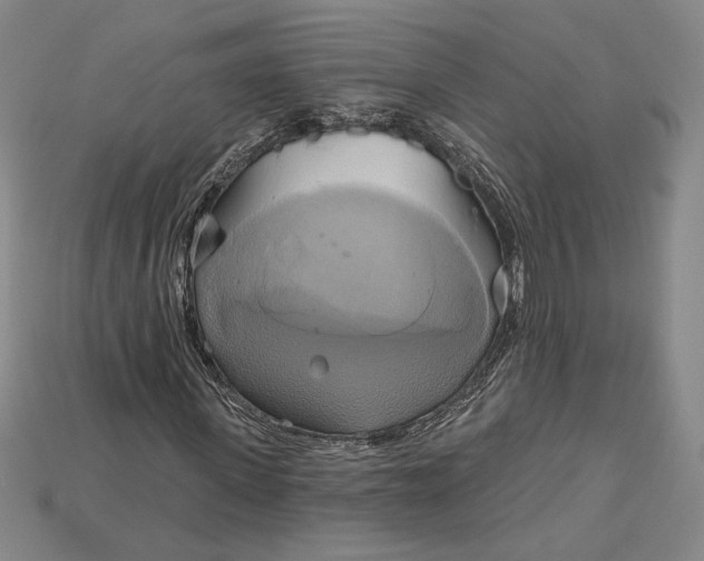 X0000115170915200911121736