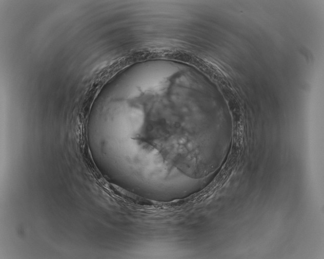 X0000115170917200911121736