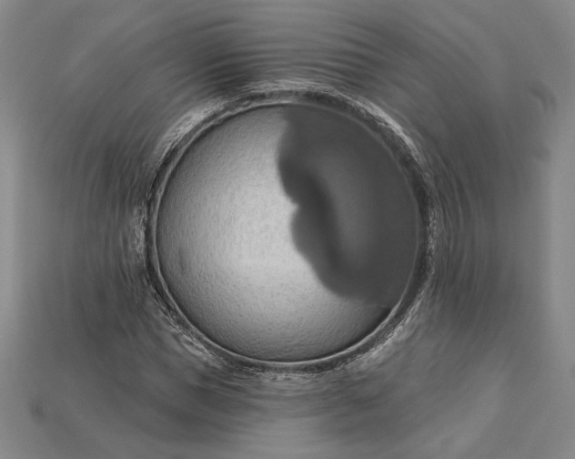 X0000115170921200911121736