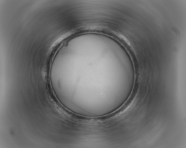 X0000115170922200911121736