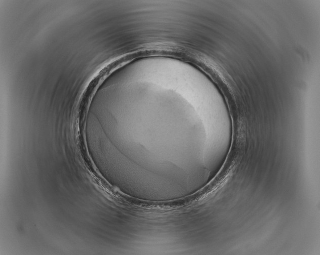 X0000115170923200911121736
