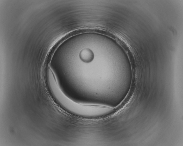 X0000115170925200911121736