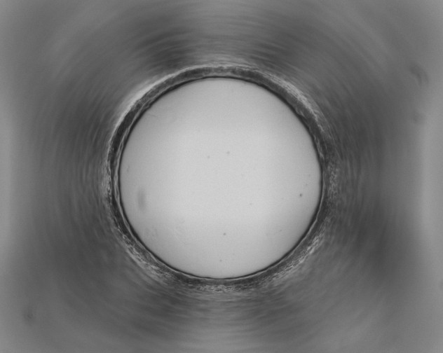 X0000115170927200911121736