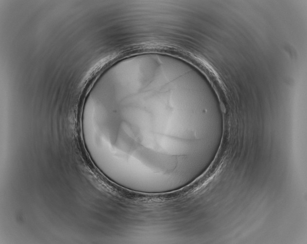 X0000115170930200911121736