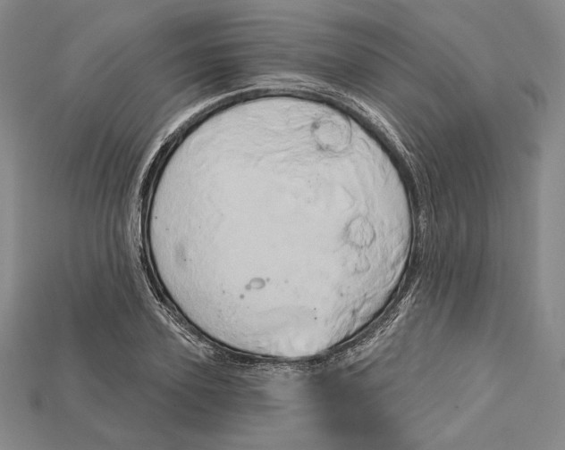 X0000115170931200911121736