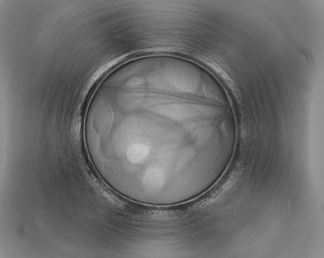 X0000115170933200911121736