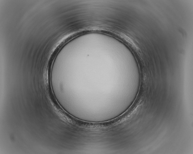 X0000115170934200911121736