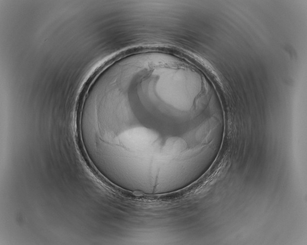 X0000115170935200911121736