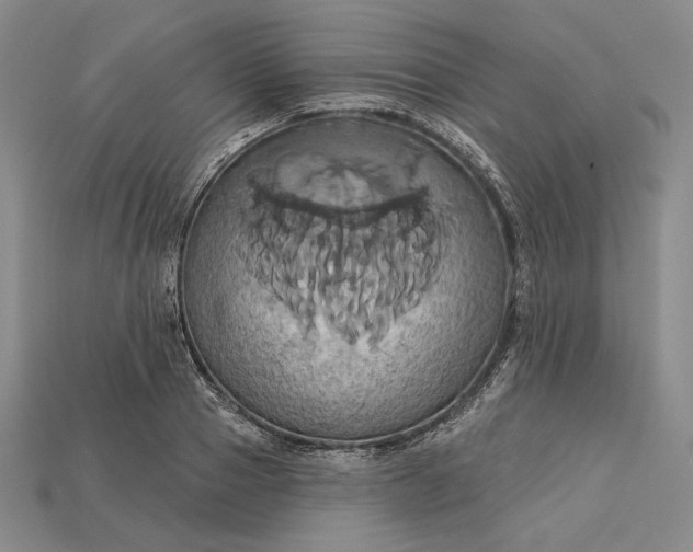 X0000115170937200911121736