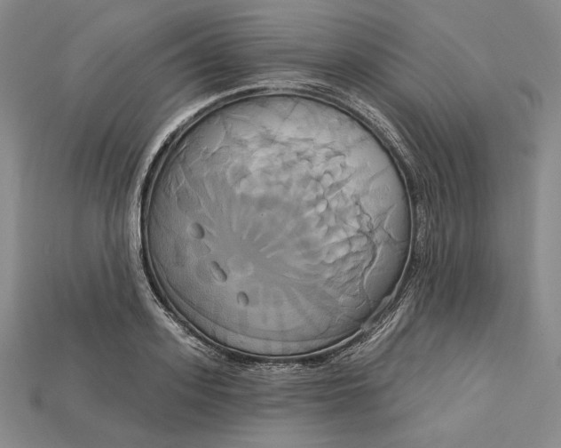 X0000115170939200911121736