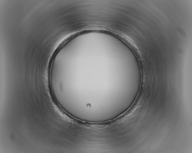 X0000115170942200911121736