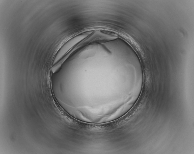 X0000115170945200911121736