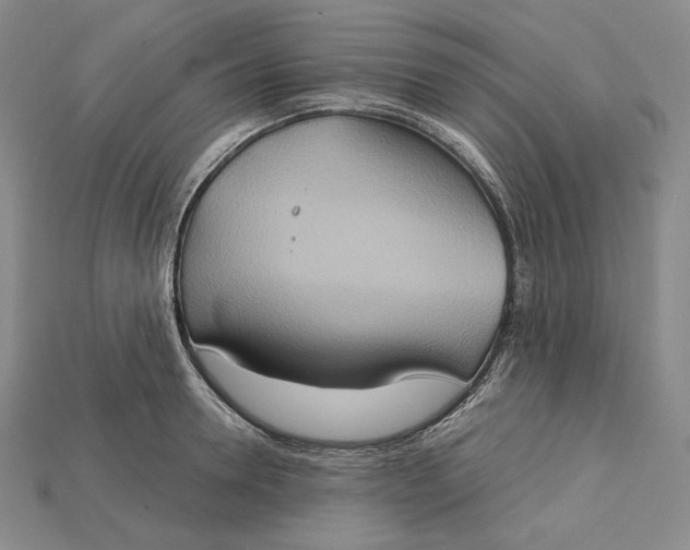 X0000115170946200911121736