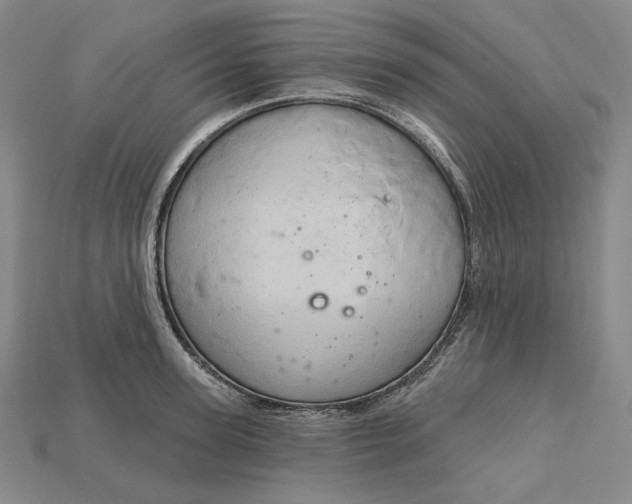 X0000115170947200911121736