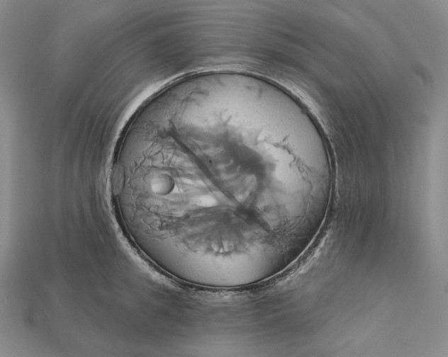 X0000115170949200911121737