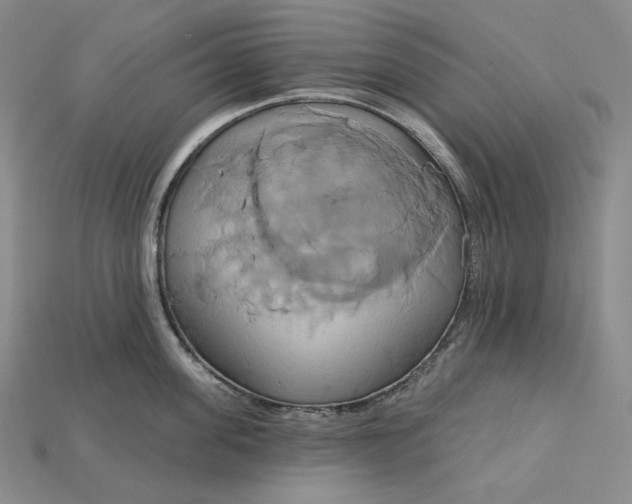 X0000115170955200911121737