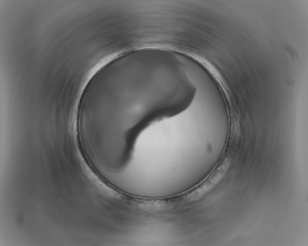 X0000115170957200911121737