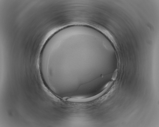 X0000115170958200911121737