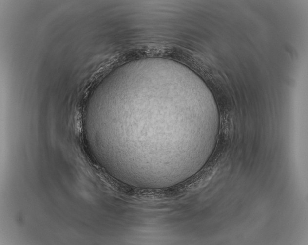 X0000115170962200911121736