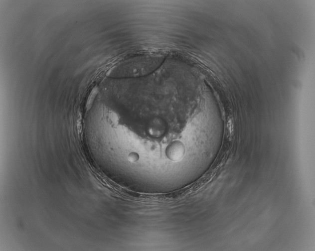 X0000115170963200911121736