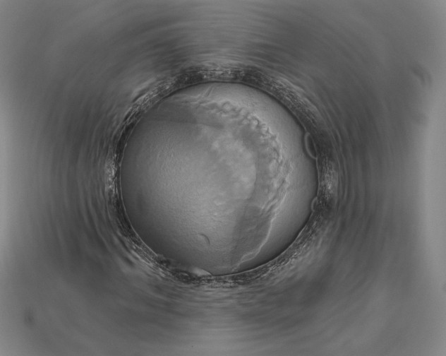 X0000115170964200911121736