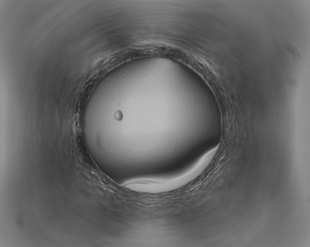 X0000115170965200911121736