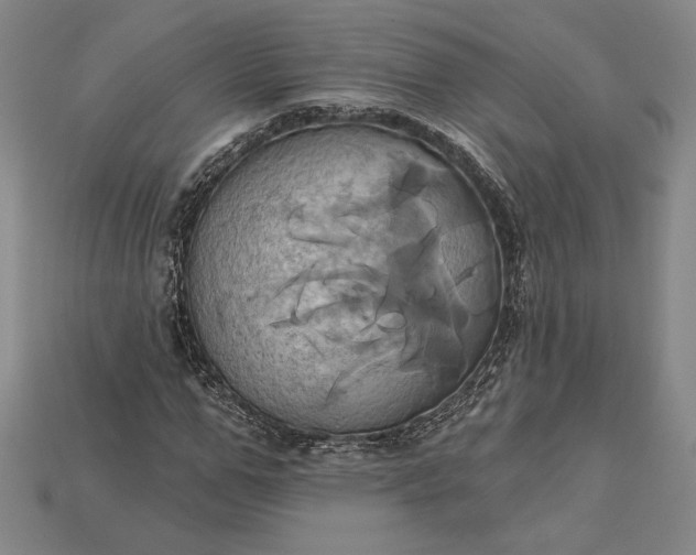 X0000115170967200911121736