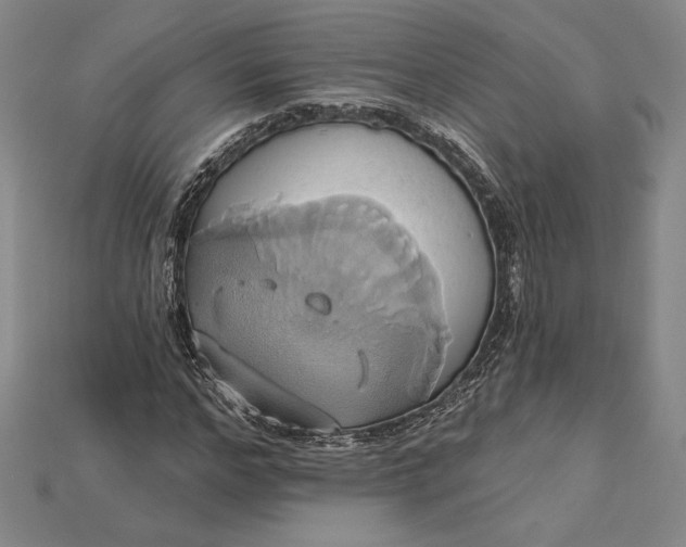 X0000115170968200911121736
