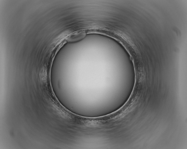 X0000115170969200911121736