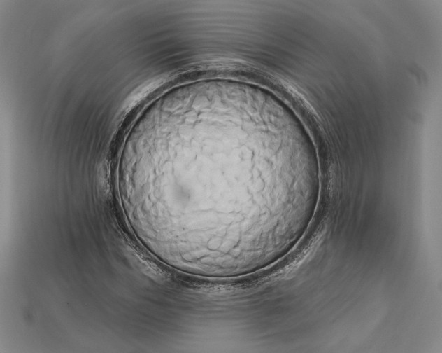 X0000115170970200911121736