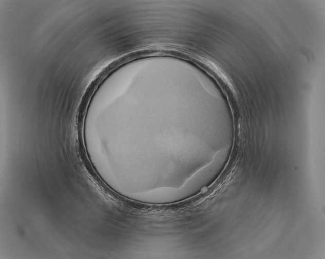 X0000115170972200911121736