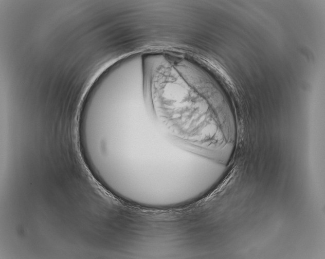 X0000115170976200911121736