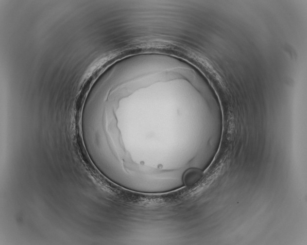 X0000115170978200911121736