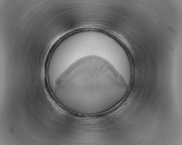 X0000115170980200911121736