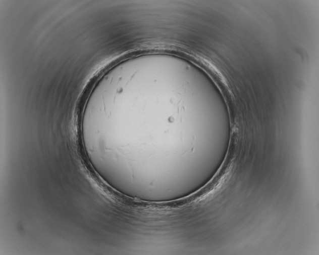 X0000115170981200911121736