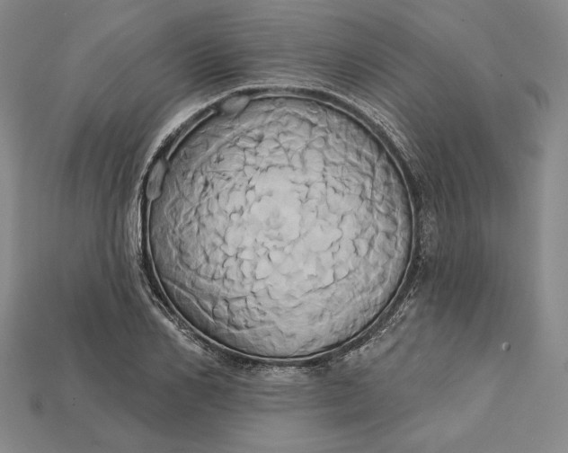 X0000115170982200911121736