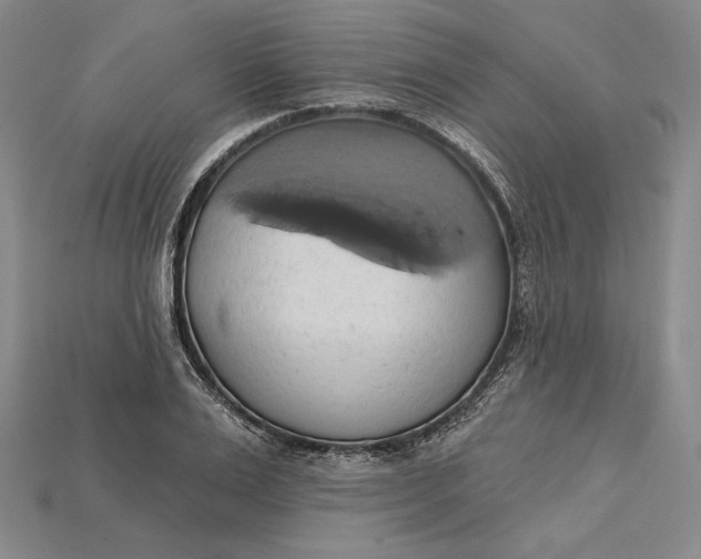 X0000115170983200911121736