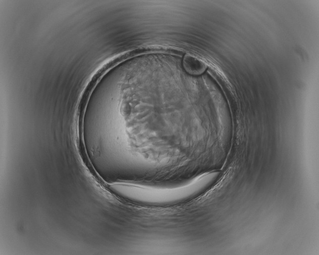 X0000115170984200911121736