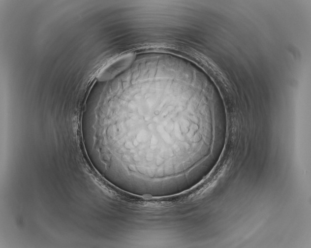 X0000115170985200911121736