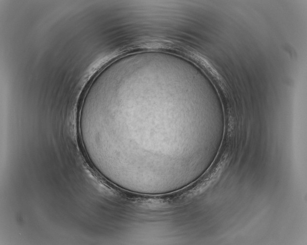 X0000115170986200911121736
