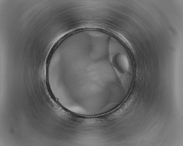 X0000115170988200911121736