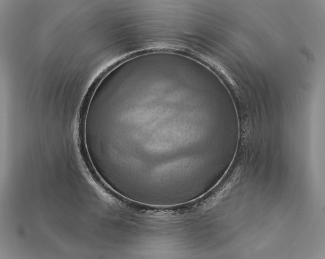 X0000115170991200911121735