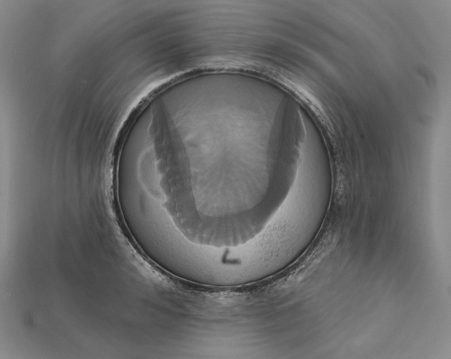X0000115170992200911121735
