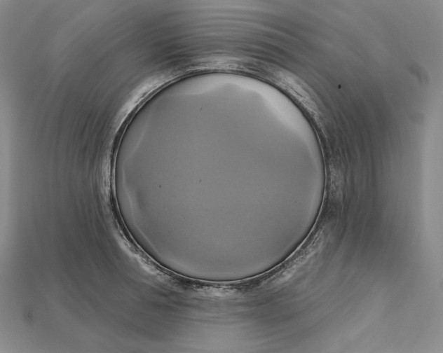 X0000115170994200911121735